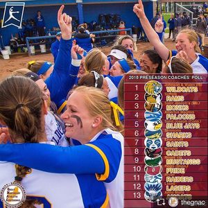Image post by @jwusoftball on Instagram