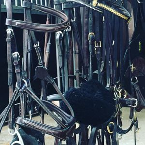 Image post by @snaffle_it on Instagram