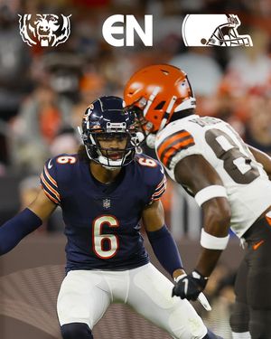 Image post by @bears_es on Instagram