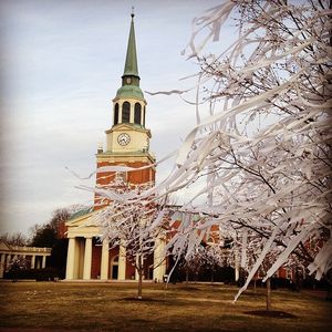 Image post by @demondeacons on Instagram