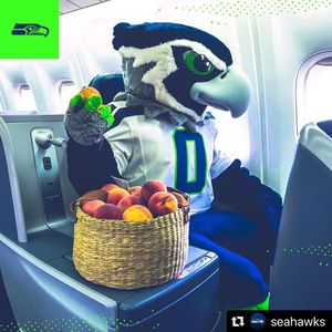 Image post by @blitztheseahawk on Instagram