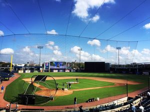 Image post by @bronxpinstripes on Instagram