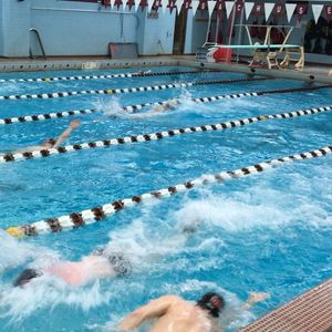 Image post by @umassswimdive on Instagram