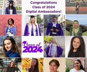 Image post by @meetnyu on Instagram