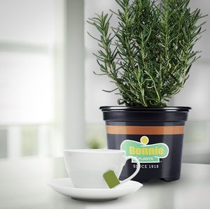 Image post by @bonnieplants on Instagram