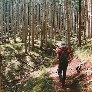 Image post by @nauflagstaff on Instagram