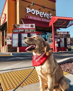 Image post by @popeyes on Instagram
