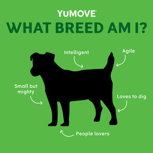Image post by @YuMOVE.US on Facebook