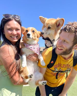 Image post by @ziggy_thecorg on Instagram