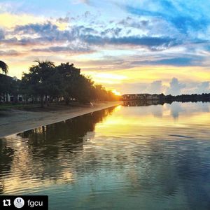 Image post by @fgcu_vb on Instagram
