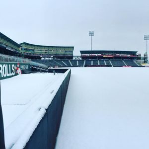 Image post by @springfield_cardinals on Instagram