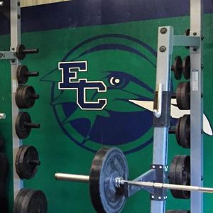 Image post by @endicott_ap on Instagram