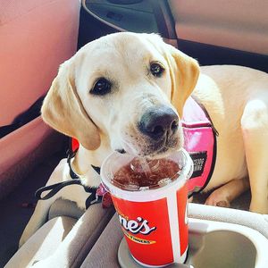 Image post by @raisingcanes on Instagram