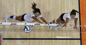 Image post by @utepvb on Instagram
