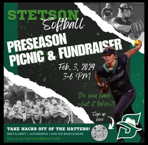 Image post by @stetsonsoftball on Instagram