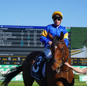 Image post by @australianturfclub on Instagram