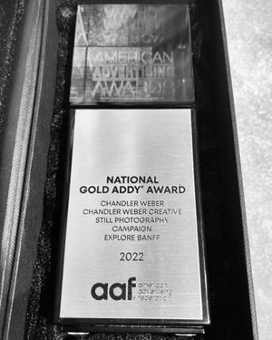 Image post by @chandlerwebercreative on Instagram