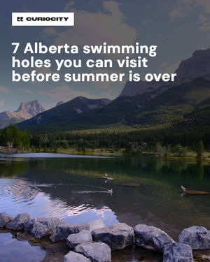 Image post by @curiocitycalgary on Instagram