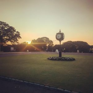 Image post by @lukedonald on Instagram