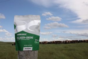 Image post by @xendurance on Instagram