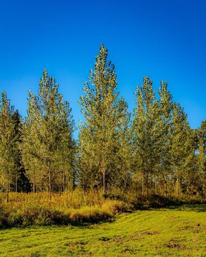 Image post by @cristan.nature.photography on Instagram