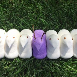 Image post by @gcu on Instagram