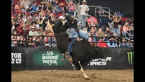 Video post by @pbr on YouTube