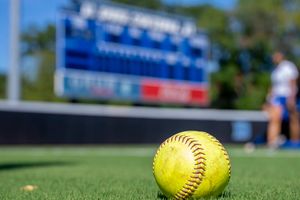 Image post by @DukeSOFTBALL on Twitter