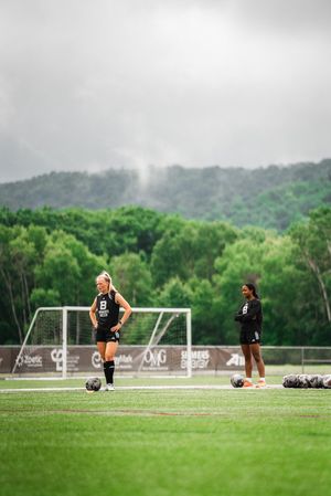 Image post by @GoBonnies on Twitter