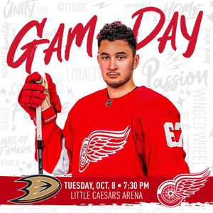 Image post by @detroitredwings on Instagram