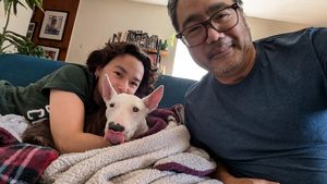 Image post by @breyeschow on Instagram