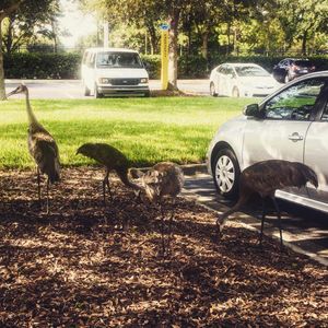 Image post by @rosencollege on Instagram