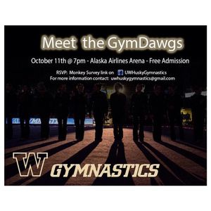 Image post by @uwgymnastics on Instagram