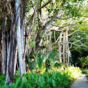 Image post by @visitsarasotacounty on Instagram