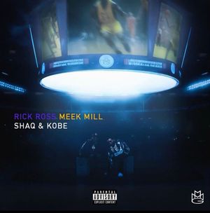 Image post by @shaq on Instagram