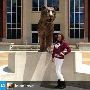 Image post by @memphissoftball on Instagram