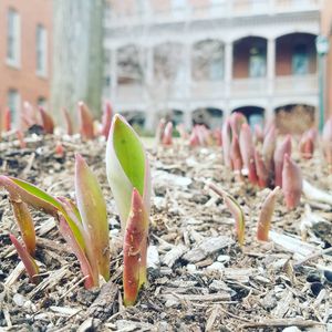 Image post by @shippensburgu on Instagram