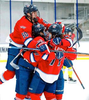 Image post by @hockeyhousepod on Twitter