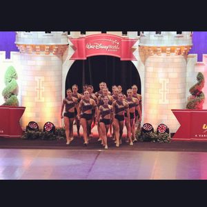 Image post by @lsutigergirls on Instagram