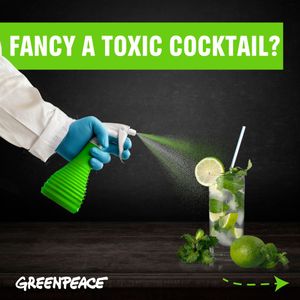 Image post by @greenpeace on Instagram