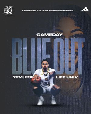 Image post by @ksuowlswbb on Instagram