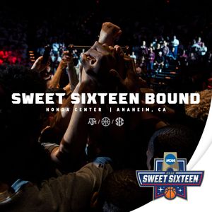 Image post by @aggiembk on Twitter