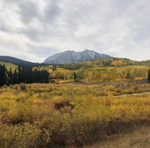 Image post by @fox31denver on Instagram