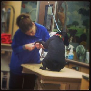 Image post by @tracethom on Instagram