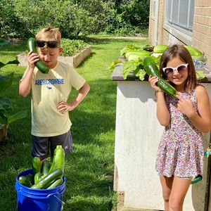 Image post by @kidsgardening on Instagram