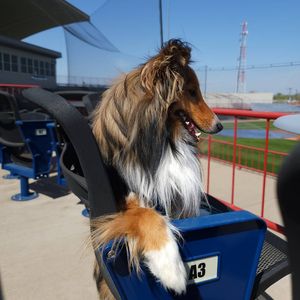 Image post by @burlington_bees on Instagram