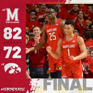 Image post by @terrapinhoops on Instagram