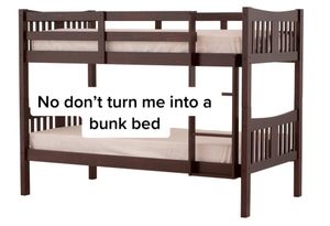 Video post by @wnmuathletics_ on TikTok