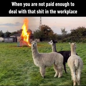 Image post by @9gag on Instagram