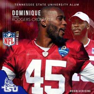 Image post by @tsutigers on Instagram